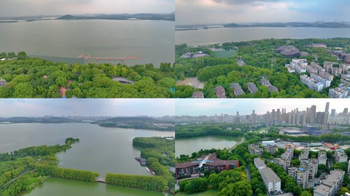 湖北武汉东湖听涛景区航拍自然风光生态旅游