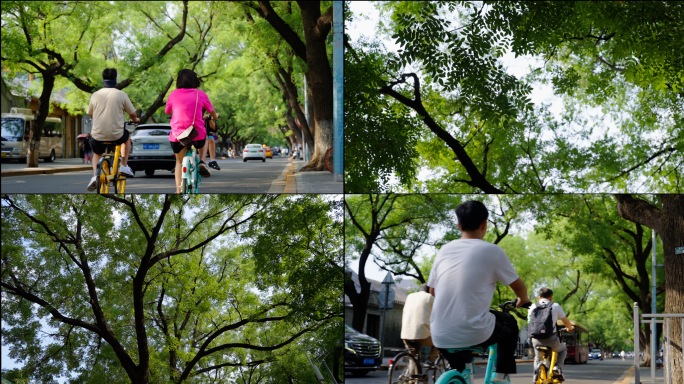 北京街道 胡同 夏天 小巷