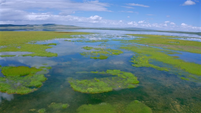 草原沼泽湿地自然保护区