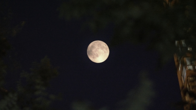 中秋节月亮合集