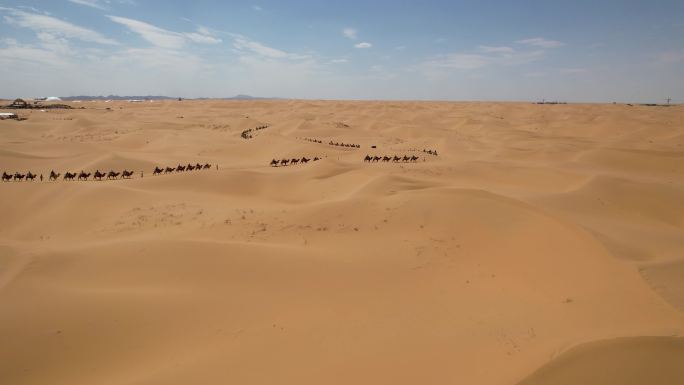 沙漠 骆驼 旅游 商队 丝绸之路03