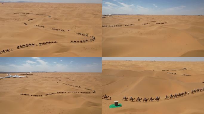 沙漠 骆驼 旅游 商队 丝绸之路03