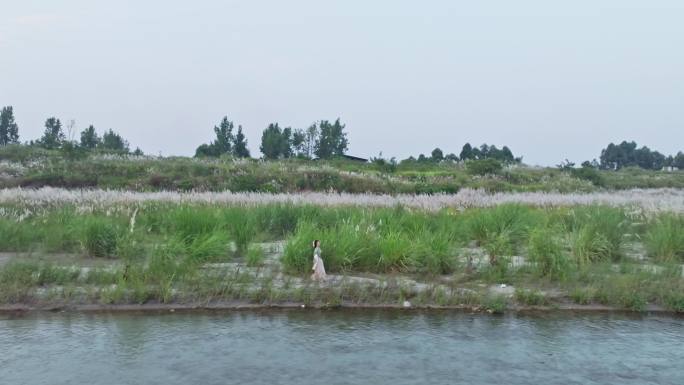 田野草地植物女孩绿色农田自然户外航拍