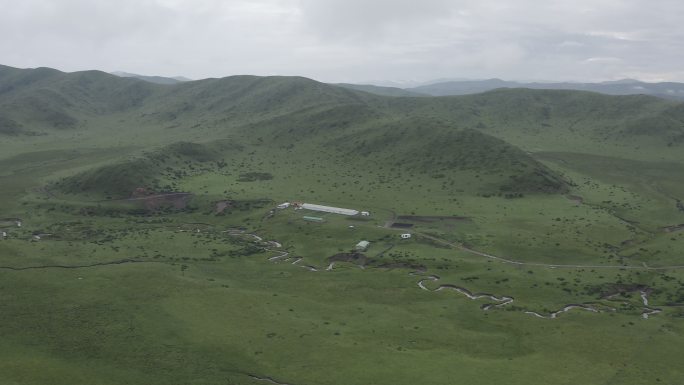 红原草原谷地草地