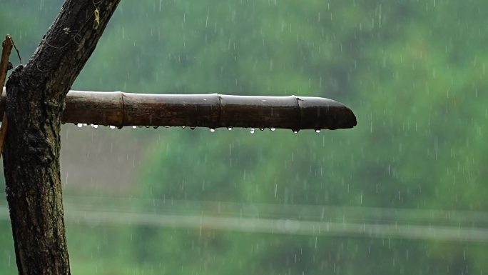 雨季 雨天 空镜头 唯美 雨滴