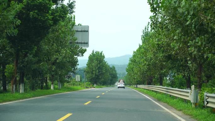 开车行驶林荫小道汽车公路道路驾驶第一视角