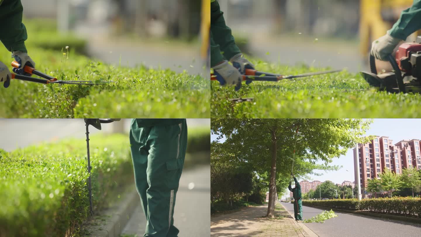 【4K】绿化工人修剪树枝视频素材