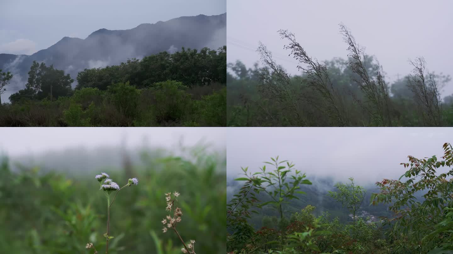 大雾天气野外山中迷雾神秘感孤独感素材
