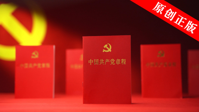 中国共产党章程danghui徽章红色党建
