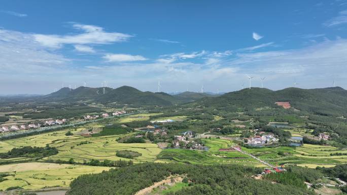 航拍襄阳宜城杨棚山区平原彩色稻田自然风光