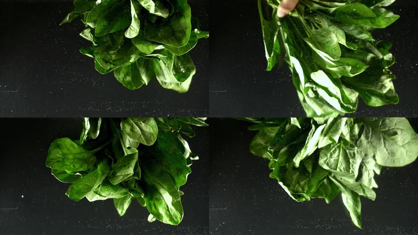 绿色蔬菜慢动作菠菜入水清洗叶子水珠水滴