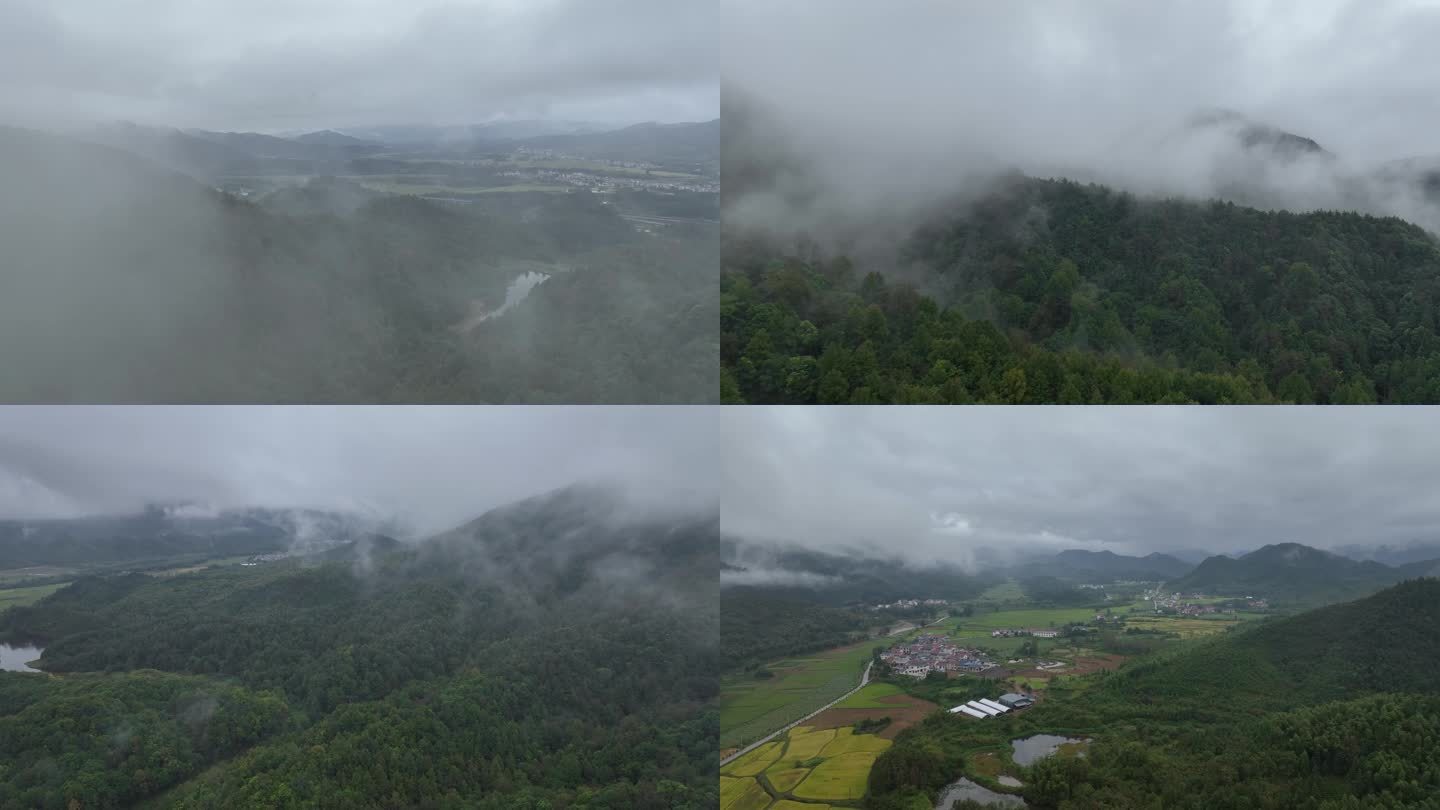 雨后山林森林树林晨雾青山环境森林生态氧吧