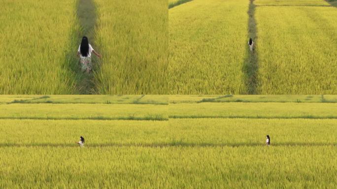女人在金黄的稻田里行走奔跑秋天乡村风景