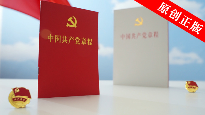 党员徽章danghui中国共产党章程党章