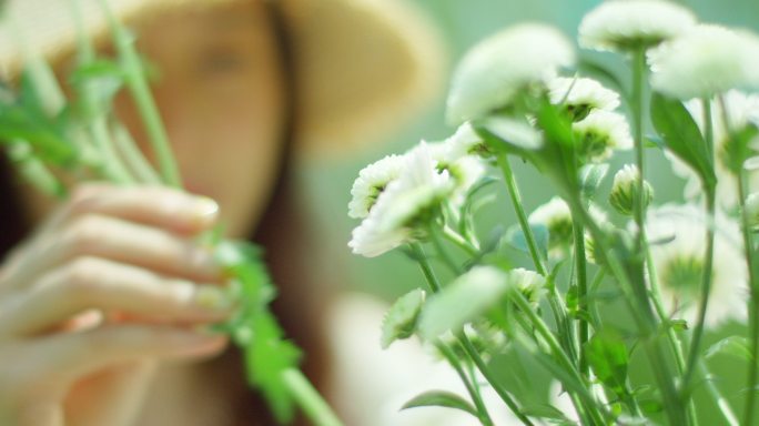 夏日 享受 阳光 雏菊 插花3