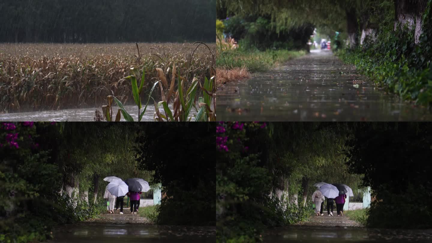 乡间小道的雨中行人