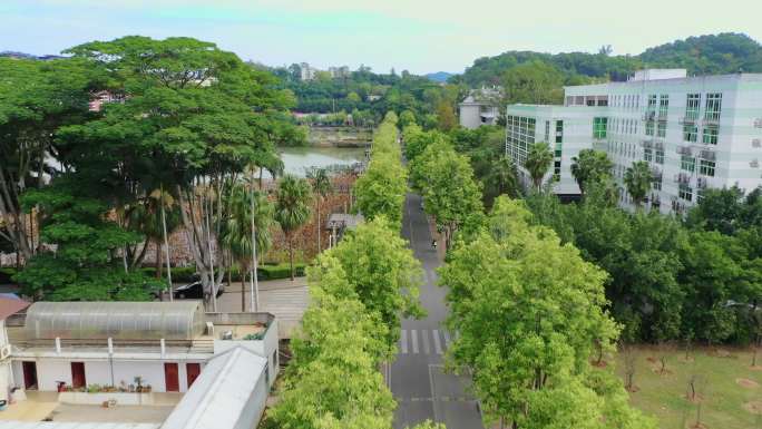 福建福州农林大学 航拍z