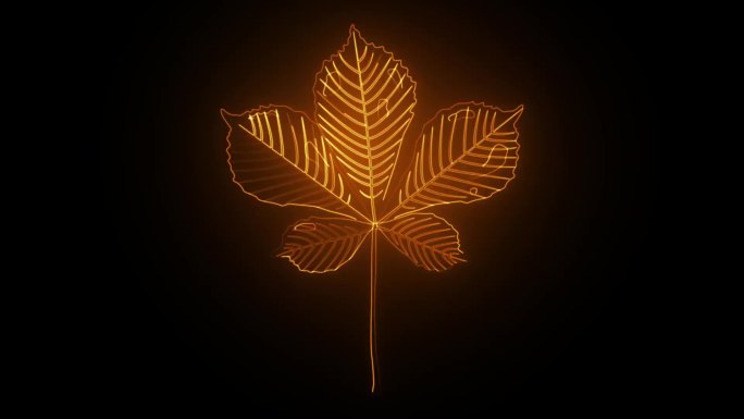 树叶描边logo轮廓发光