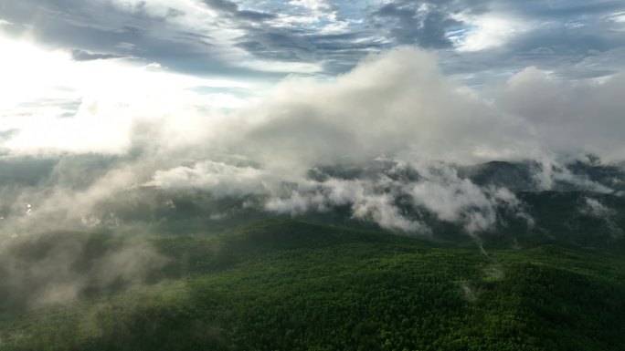 航拍苍茫山林云雾缭绕