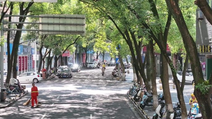 台州温岭老城区绿树成荫扫街