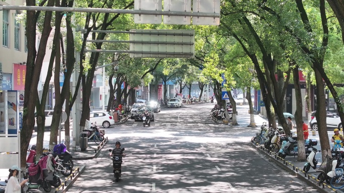 台州温岭老城区绿树成荫扫街