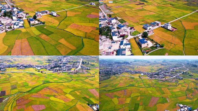 4k 航拍乡村业农田振兴乡村水稻丰收