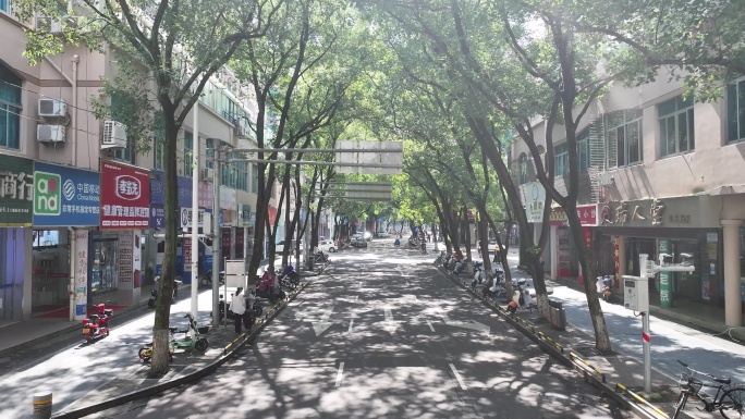 台州温岭老城区绿树成荫扫街