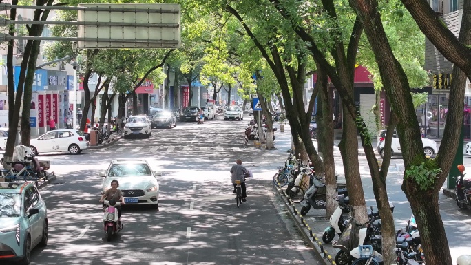 台州温岭老城区绿树成荫扫街