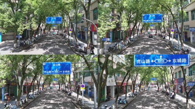 台州温岭老城区绿树成荫扫街