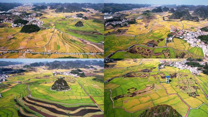 4k航拍农业乡村水稻稻田图案