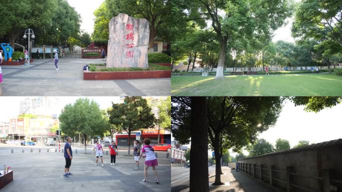 上海市 闵行区 颛桥公园