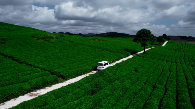 4k 航拍茶园茶山自驾游