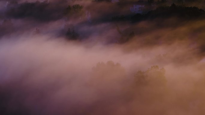 城市航拍日出森林树林别墅小区高端地产住宅