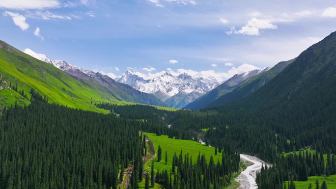 航拍夏塔国家森林公园森林雪山河流峡谷