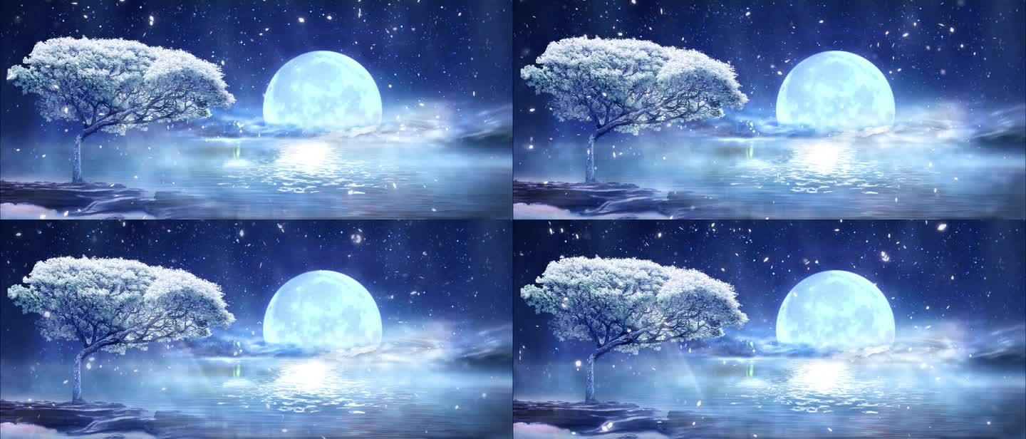 星空月夜树下【4K分辨率循环】