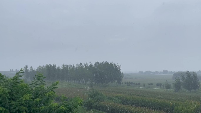 下雨天树林农田
