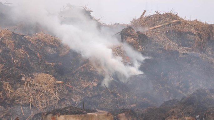 实拍秸秆焚烧浓烟保护生态环境