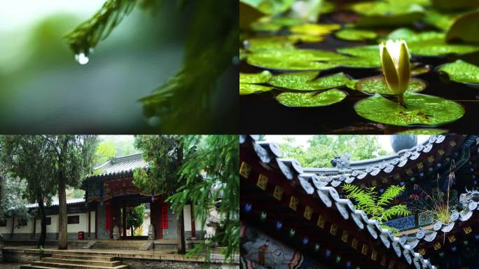 雨后禅意