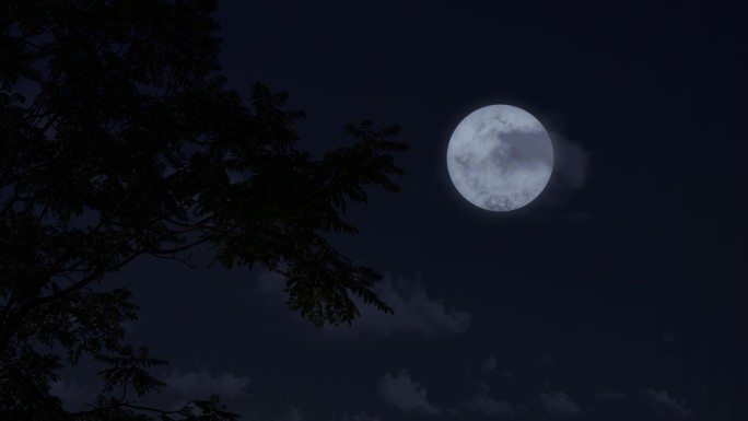 树梢月亮