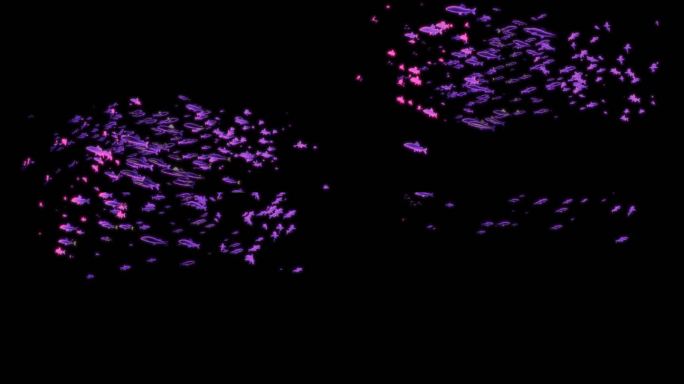 紫色海底螺旋鱼群