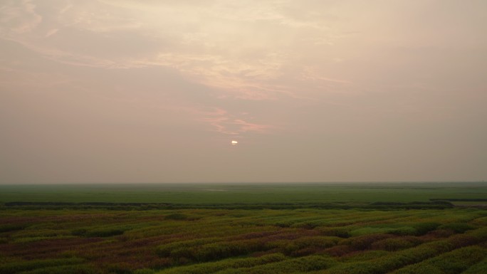 大草原日出延时风景唯美风景草场太阳升起来