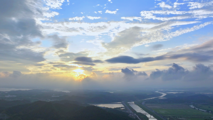 夕阳逆光震撼唯美植物树叶温暖剪影空镜