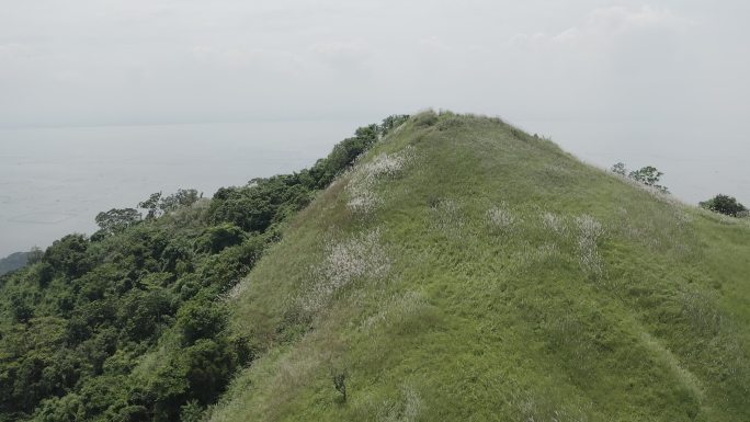 菲律宾芦苇山风景周边游实拍4K