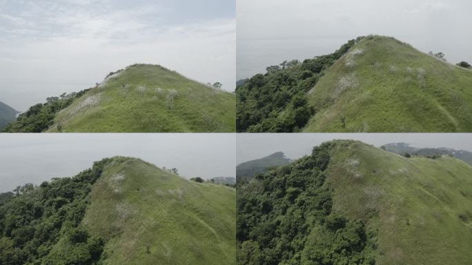 菲律宾芦苇山风景周边游实拍4K