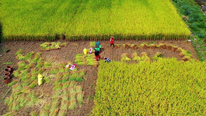 浙江天台山，国清寺，国清景区