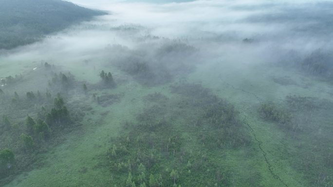 航拍云雾迷漫的梦幻森林