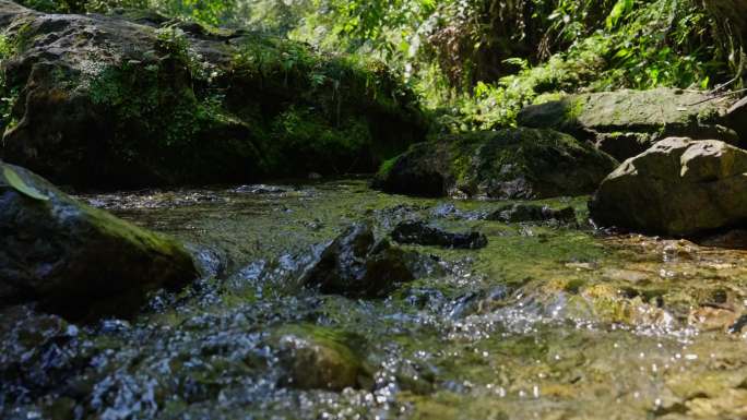 溪流河沟清泉河水溪水水花水源纯净水