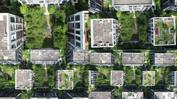 深圳龙岗区拾乐府