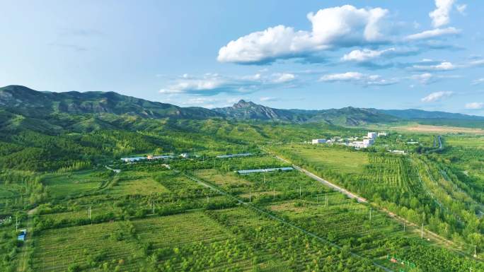 呼和浩特 大青山下 生态