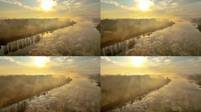 无人机航拍汶河岸边湿地公园秋天的早晨朝阳
